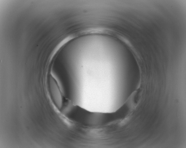 X0000081621426200702051221