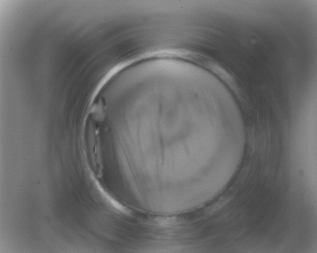 X0000081621428200702051221