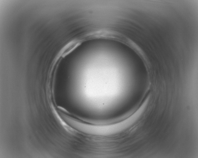 X0000081621434200702051221
