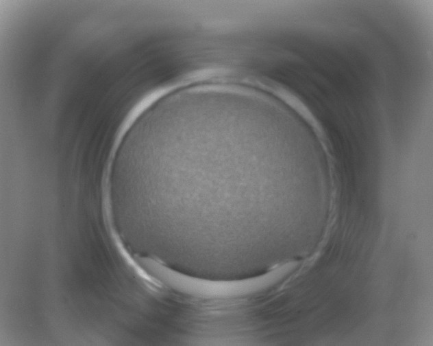 X0000081621440200702051221