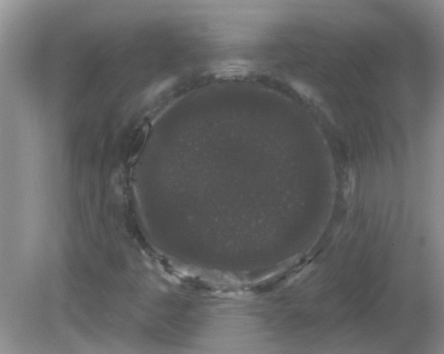X0000081621445200702051220