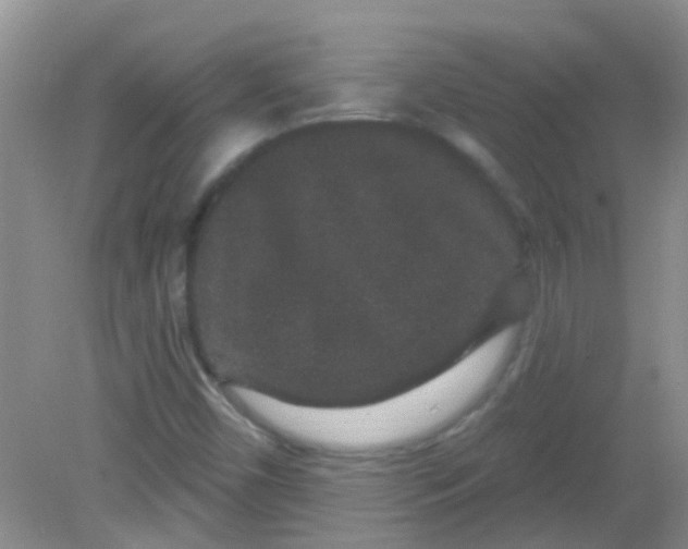 X0000081621450200702051220