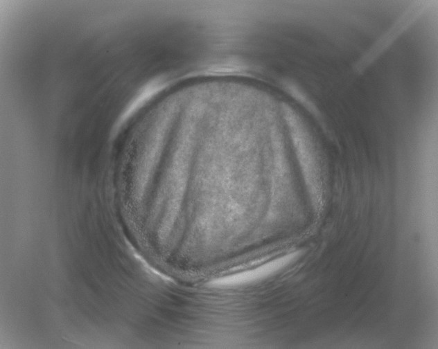X0000081621456200702051220