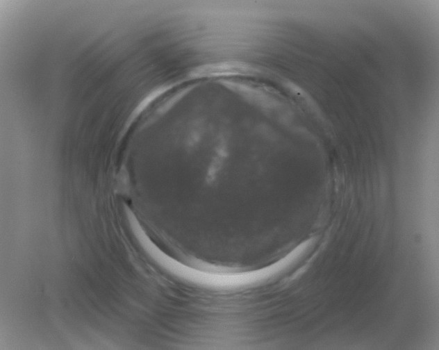 X0000081621457200702051220