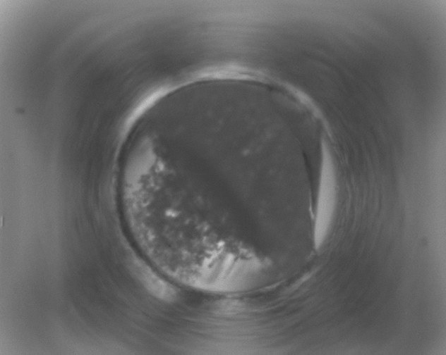 X0000081621463200702051220