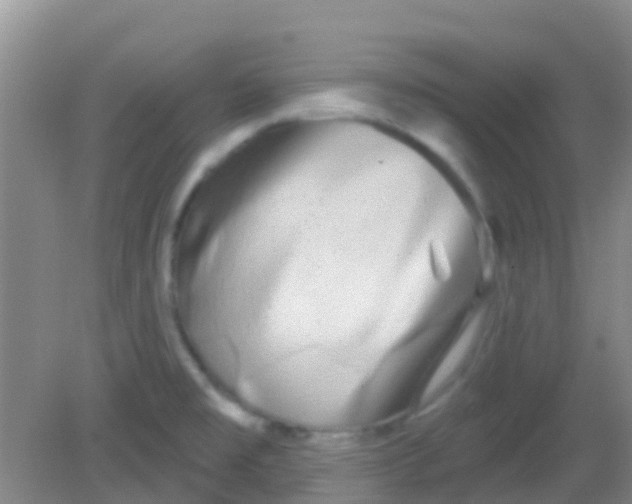 X0000081621477200702051220