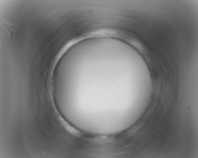 X0000081621478200702051220