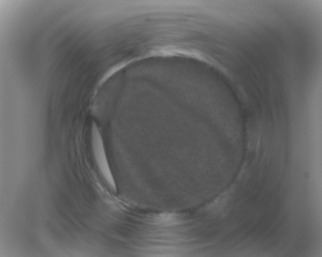 X0000081621497200702051219