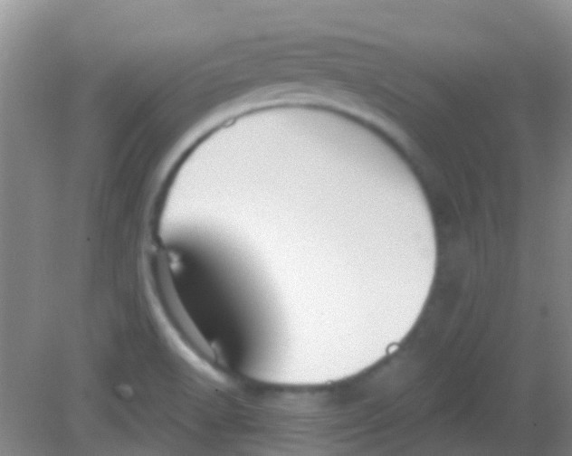 X0000081621518200702051219
