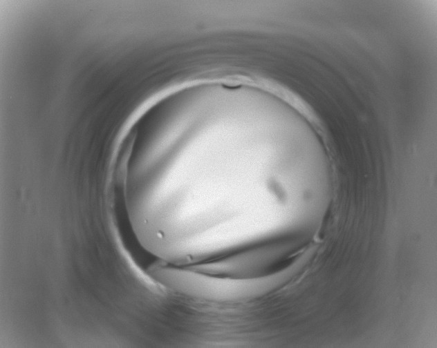 X0000081621536200702051220