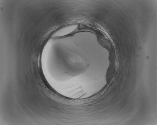 X0000081620019200702121651