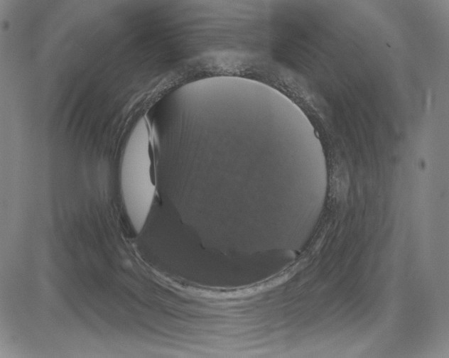 X0000081620027200702121651