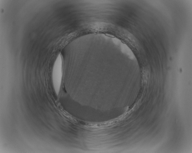 X0000081620029200702121651