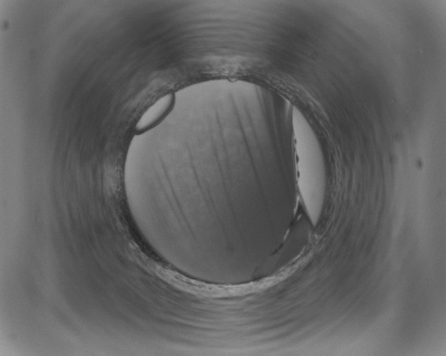 X0000081620035200702121651