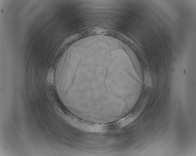 X0000081620036200702121651