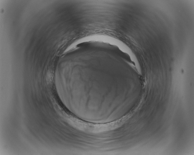 X0000081620039200702121651