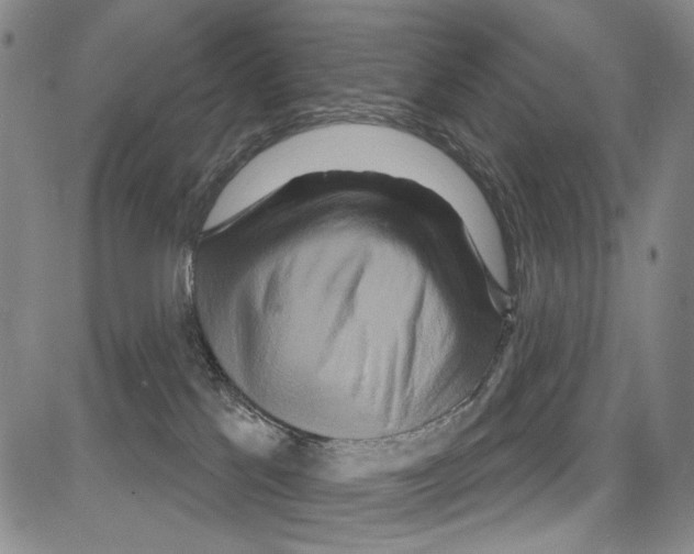 X0000081620041200702121651