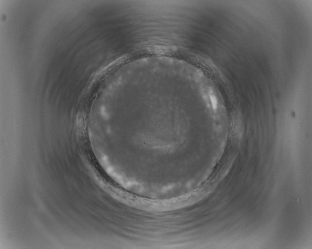 X0000081620043200702121651