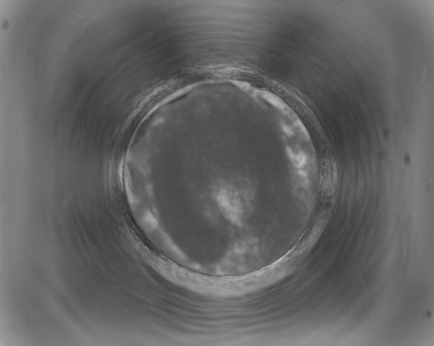 X0000081620047200702121650