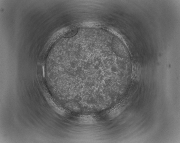 X0000081620061200702121650