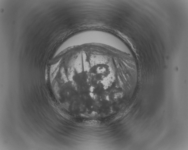 X0000081620069200702121650