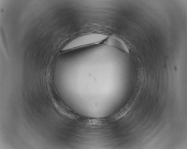 X0000081620088200702121650