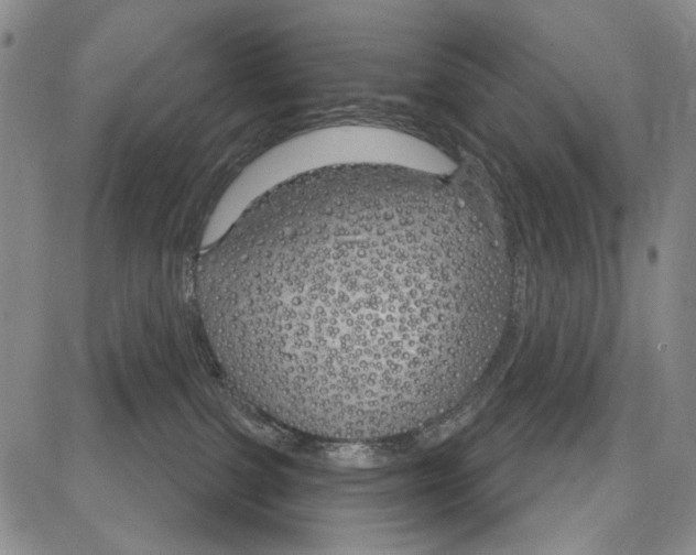 X0000081620091200702121650