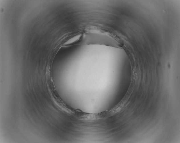 X0000081620092200702121650