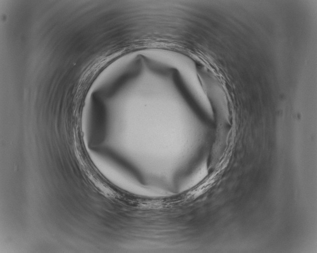 X0000081620097200702121650