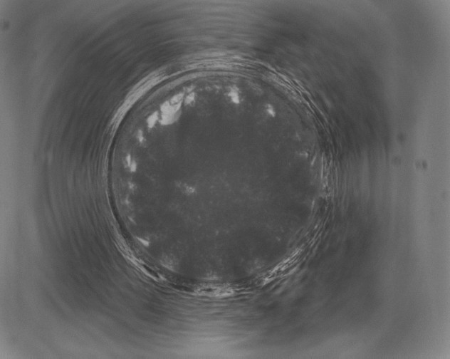 X0000081620099200702121650