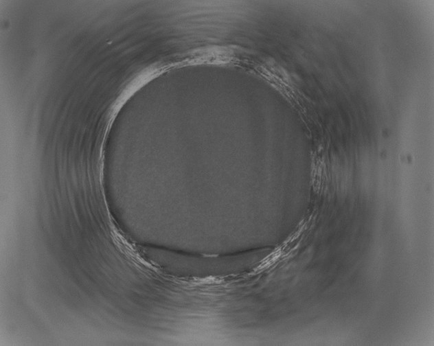 X0000081620100200702121650