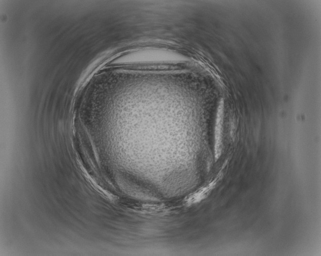 X0000081620101200702121650