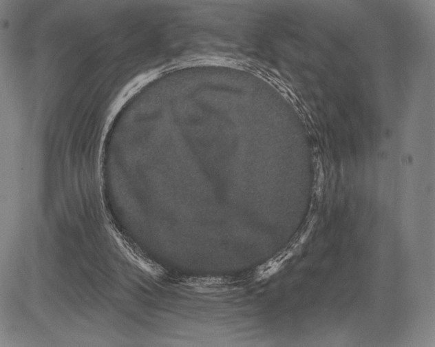 X0000081620104200702121650