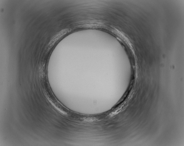 X0000081620105200702121650