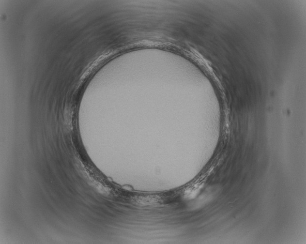 X0000081620106200702121649