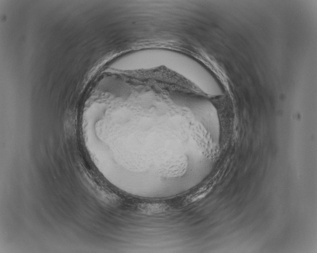 X0000081620107200702121649