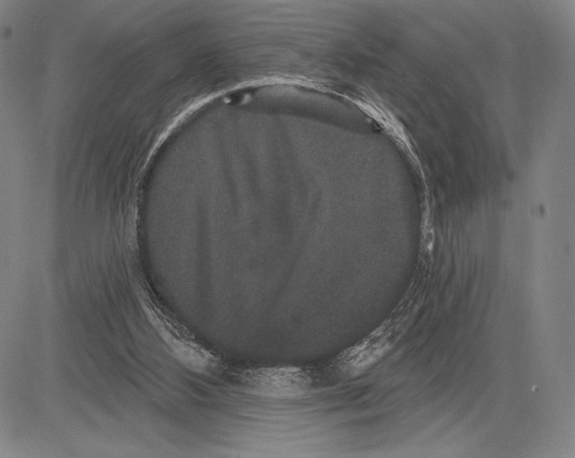 X0000081620108200702121649