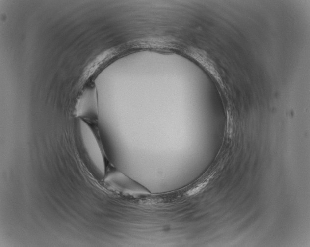 X0000081620109200702121649