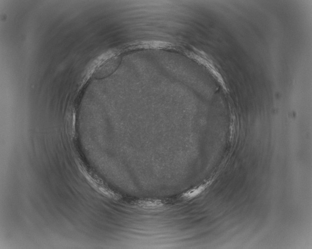 X0000081620110200702121649