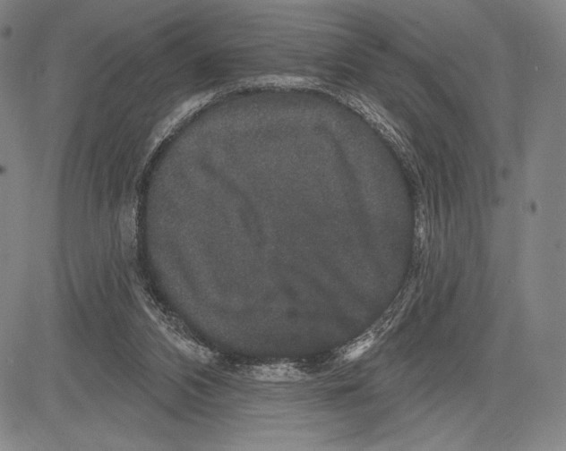 X0000081620112200702121649