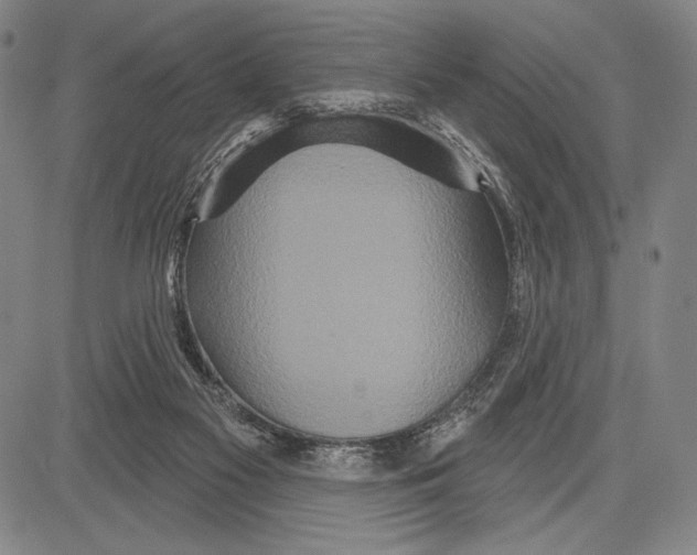 X0000081620117200702121649