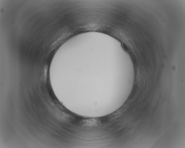 X0000081620118200702121649