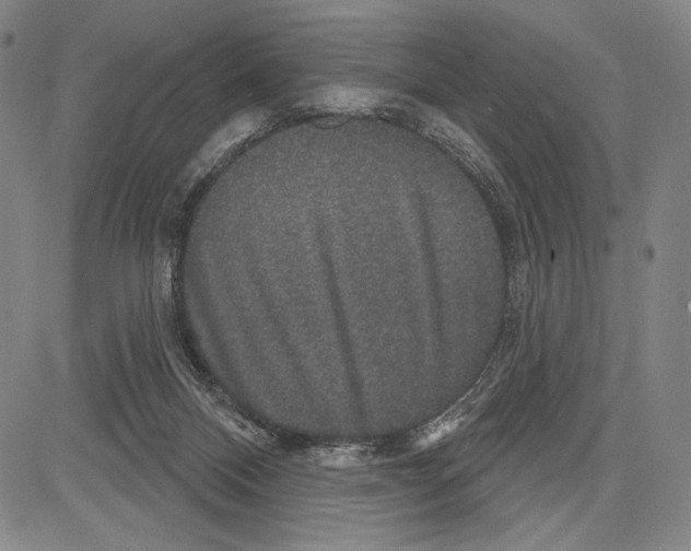 X0000081620120200702121649