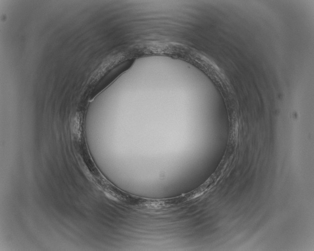 X0000081620121200702121649