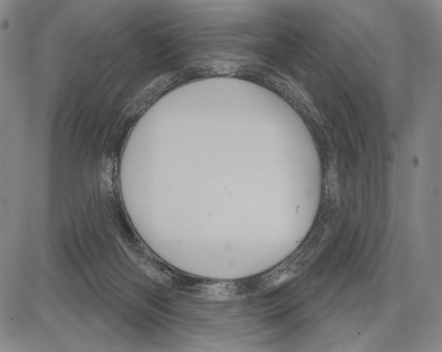 X0000081620122200702121649