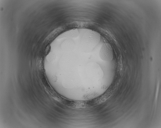 X0000081620123200702121649