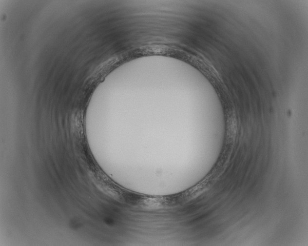 X0000081620126200702121649