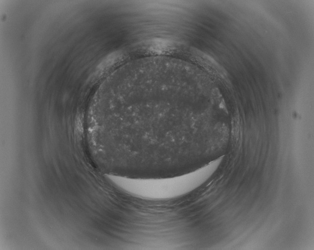 X0000081620127200702121649