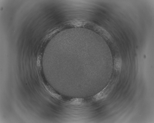 X0000081620128200702121649