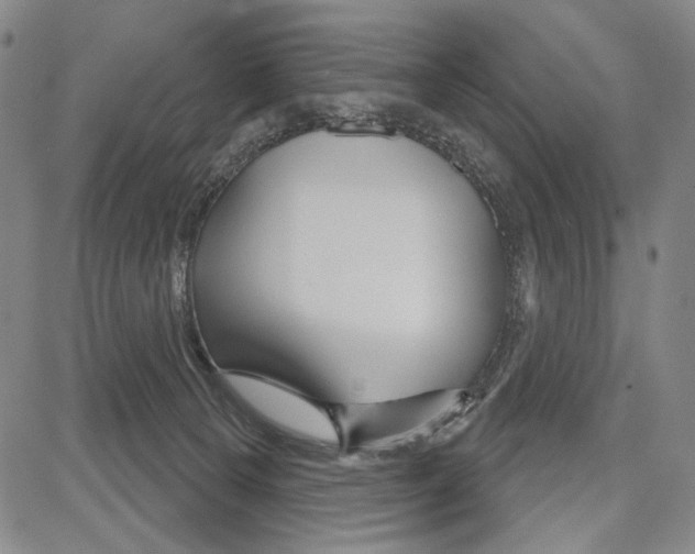 X0000081620129200702121649